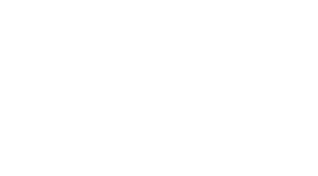 Limited Edition 999